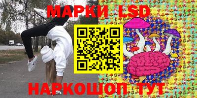 Альфа ПВП Камышлов